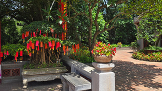 Tree adorned with red tags in a garden with lush greenery and colorful flowers. Sunlit patio tiles and shadows create a serene atmosphere.
