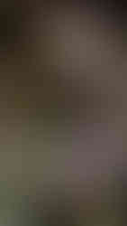 Large, fearsome effigy of Rangda made for Bali’s Ogoh-Ogoh parade, depicting the witch queen in a dynamic pose