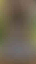 Stone ganesha statue inside a red brick altar, colourful offerings at its feet