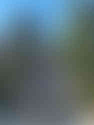 Large Buddha statue on hilltop, people climbing stairs. Ornate incense burner in foreground, surrounded by trees under clear blue sky.