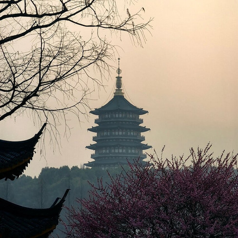 Ancient pagoda in misty setting, framed by bare branches and pink blossoms. Soft, muted sky enhances tranquil mood.