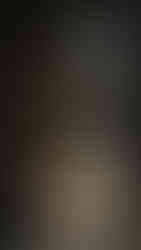 Stone statue of a mythical figure with intricate carvings, illuminated against a dark background with foliage, creating a mystical mood.