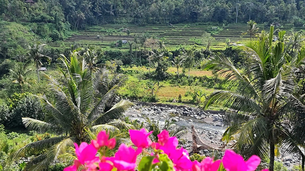 Lush green rice terraces and palm trees with vibrant pink flowers in the foreground. A river runs through the serene landscape.