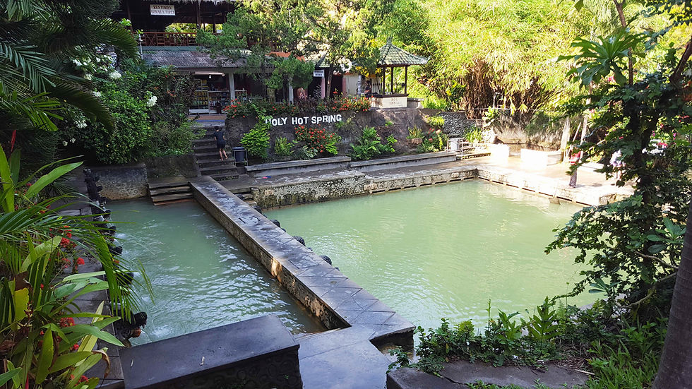 Green hot spring pool with lush plants and "Holy Hot Spring" sign. A person stands by steps. Bright, tranquil setting.