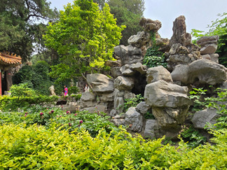 leafy green rock garden