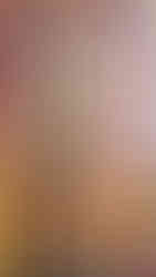 standing brnoze statue of a revered monk, red and gold ornate background, several golden vases at his feet