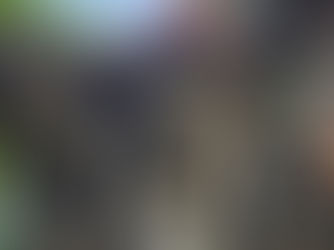 Weathered stone guardian statue with bulging eyes and red cloth, set among temple ruins and greenery under a bright sky