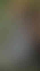 Stone statue draped in checkered cloth with water spout, vibrant red umbrellas, and lush green moss backdrop; serene atmosphere.