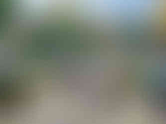 Motorcyclists ride under a colourful arch in a bustling market street with stalls, surrounded by green hills. Bright shop signs overhead.