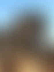 Grand doorway with pillars, ornate lintel, bright blue sky