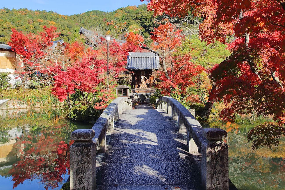 Stone bridge leads to a small shrine surrounded by vibrant red and orange autumn leaves. Reflective pond and green hills in the background.