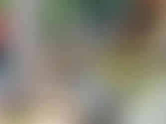 2 weathered dragon nagas on either side of a small staircase leading to an ornate timber virharn