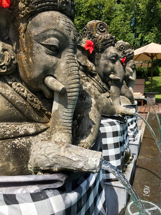 Stone elephant statues with red flowers and flowing water are set against a lush garden backdrop. Checkered cloths cover the fountain base.
