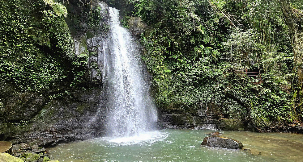 Waterfall cascading into a serene pool surrounded by lush green vegetation and rocky cliffs in a tranquil forest setting.