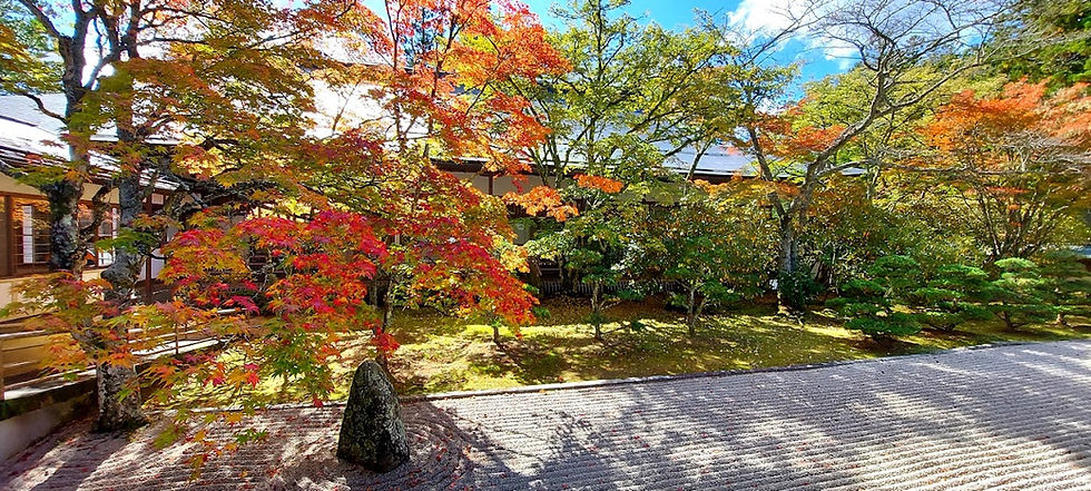 Japanese garden with vibrant red and orange autumn leaves. Raked gravel and stone add texture. Traditional building in the background.