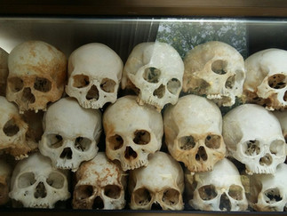 Stacked human skulls with aged, brownish tones are displayed behind glass. A reflection of trees creates an eerie, somber mood.