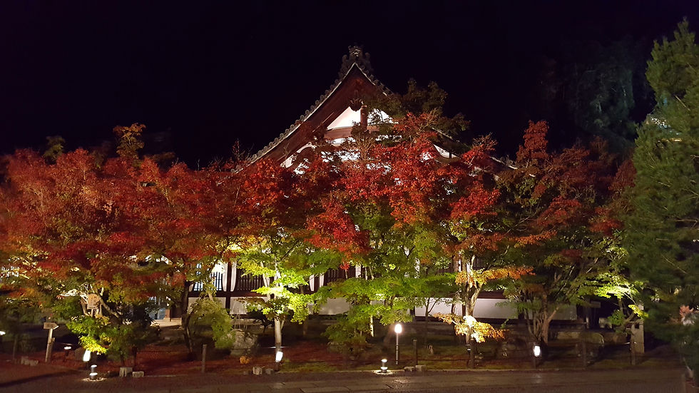 Temple illuminated at night with vibrant red and green trees in the foreground, creating a serene and picturesque atmosphere.
