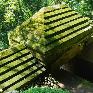 heavily mossy ceiling of the main temple, peering out through heavy forest