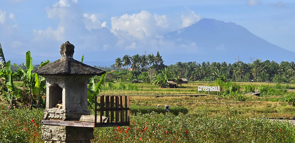 Stone lantern in a tropical rice field with palm trees and Mount Agung in the backdrop; GREENBALI sign under a clear blue sky.