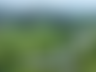 Lush green landscape with rice paddies, a winding river, and karst mountains in the background. Scattered houses with red roofs. Serene mood.