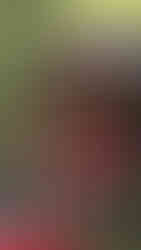 Balinese temple shrine with red parasols and offerings. Lush greenery surrounds the stone structure, creating a serene, sacred atmosphere.