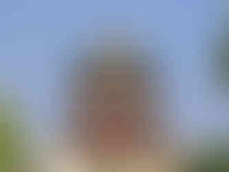 Ancient pagoda with ornate green and red roof under a clear blue sky. Surrounding trees and modern buildings in the background. Tranquil setting.