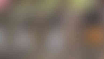 Stone statues in niches with flowing water spouts, wearing white and orange cloths, set against a mossy brick wall.