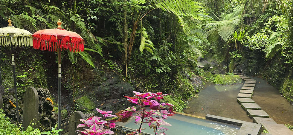 Lush forest setting with stone path over stream, ornate parasols, pink-leafed plants, and stone carvings create a tranquil atmosphere.
