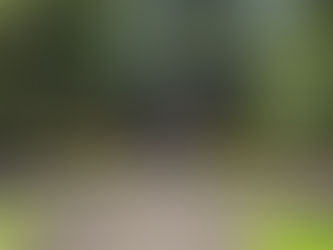 Mendut Buddhist Monastery