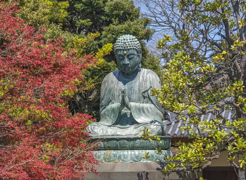 A serene Buddha statue sits among vibrant red and green trees under a clear blue sky in Japan, conveying peace and tranquility.