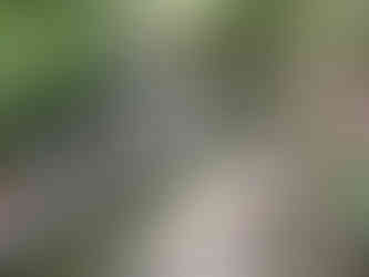 Dozens of small Jizō Bodhisattva statues on both sides of a rugged stone staircase, nestled in moss and stone, offering a sense of peace and guardianship