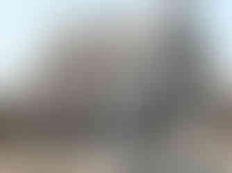 Ornamental patterns etched into the temple’s silver wall