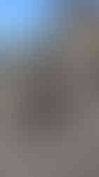 Stone lion statue with textured mane on a temple platform, with blue sky background. The setting is ancient and serene.