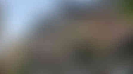 Colourful urban buildings, balconies with plants, and a blooming tree under a clear sky. Signs read "QUÁN HOÀN" and "THE WEST".