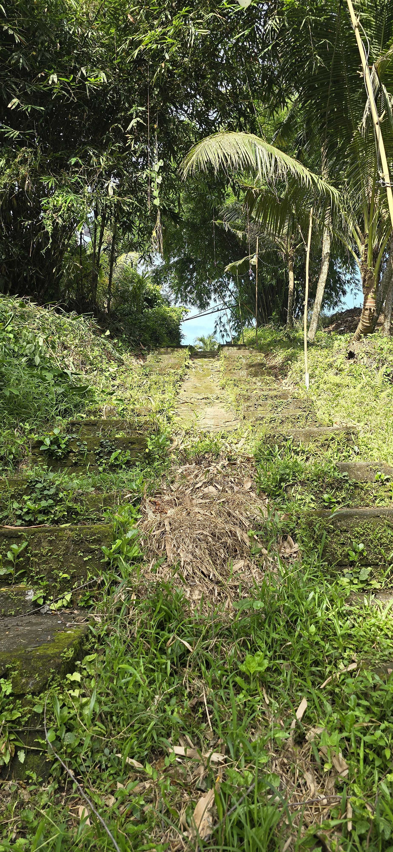 Steep, unkempt and uneven stairs leading back up to the road