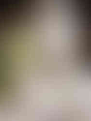 Intricately detailed white stone female sculpture standing beside a temple pool