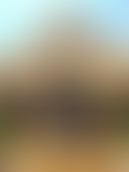 An ornate rock feature in one of the inner courtyards