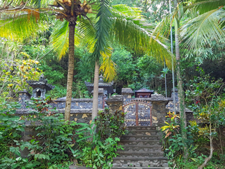 Stone entrance gate surrounded by lush tropical greenery and trees, with steps leading up. Bright green and serene atmosphere.