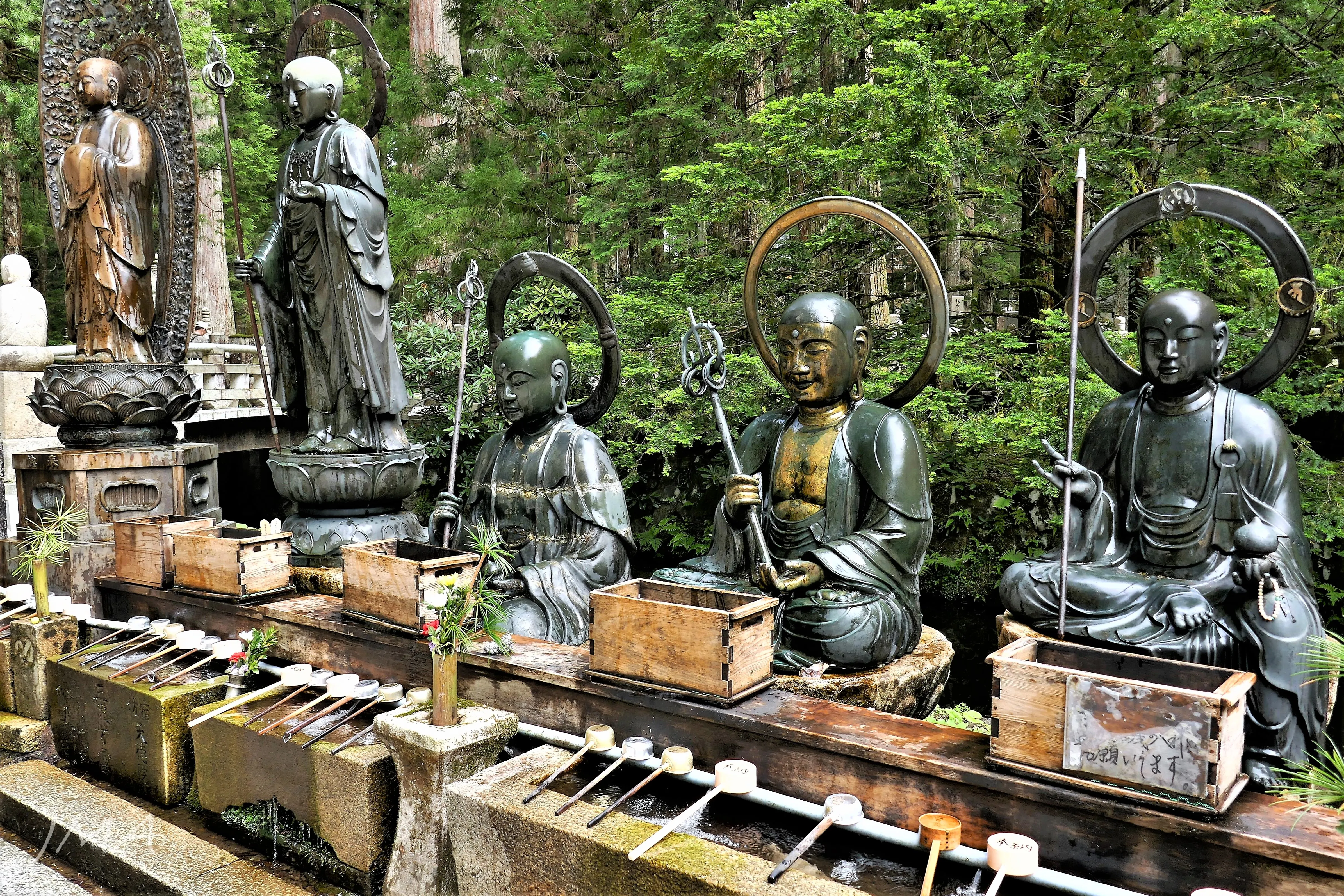 Row of bronze Buddhist statues lined along a forest path, eachin different poses and holding a staff, covered with condensation