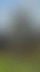 Ancient temple with stone sculptures in lush greenery. A large, detailed statue stands in the foreground under a partly cloudy sky.