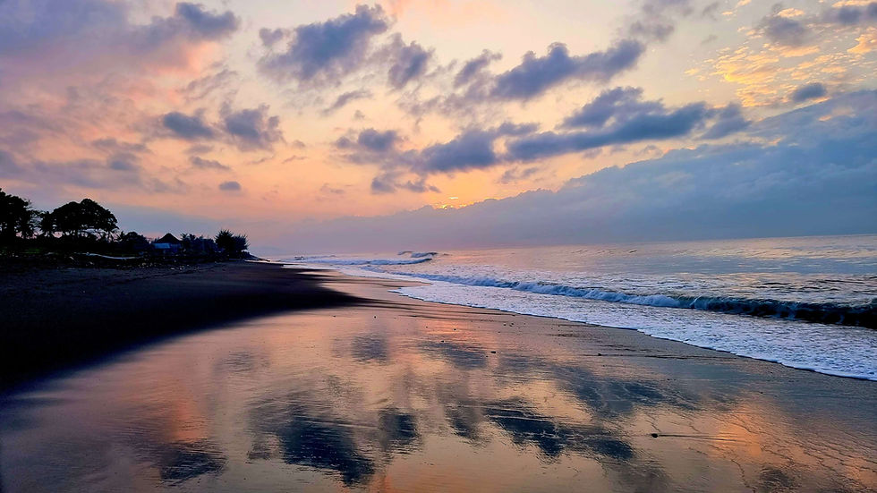 Sunset beach scene with waves and pink-orange sky. Clouds and reflections create a serene mood. Trees silhouette the horizon.