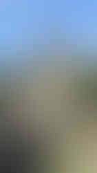 Ancient stone stupa and temple ruins under a clear blue sky, surrounded by greenery and scattered stones, creating a serene mood.