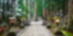 Pathway through a serene forest cemetery with stone lanterns lit, moss-covered structures, and tall trees in the misty background.