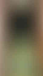 Emerald green Buddha statue adorned with intricate gold and jeweled garments, seated under an ornate golden canopy, in a dim temple.