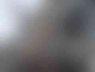 Silver naga serpent statue guarding the temple entrance