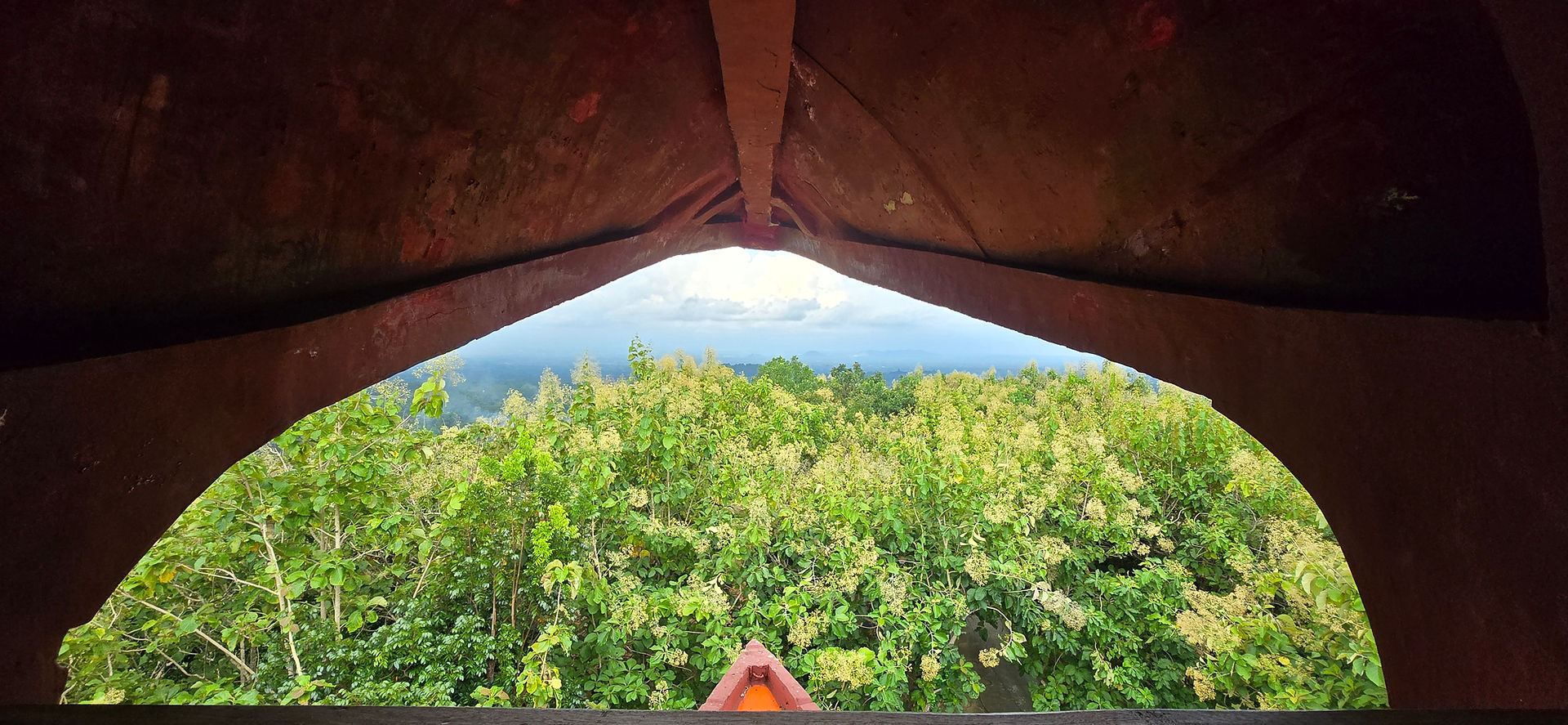 A lush green forest viewed through a triangular, rust-colored beak. A clear sky is in the distance, creating a peaceful setting.