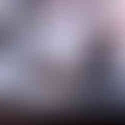 alert cat lying in an open window, orange sandstone ruins in the background