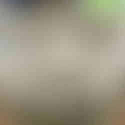 A close up of a white stone Bhoma statue attached to an ornate orange temple wall