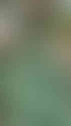 A green statue of a serene deity with detailed robes sits in front of an ornate tower. Trees and a clear sky form the background.