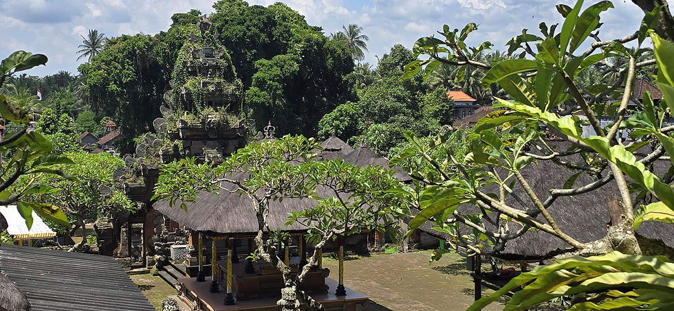 Tropical temple with thatched roofs, surrounded by lush green trees. Stone structures covered in vines. Bright, sunny day.